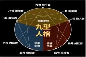 赛维《人格密码》12节完整版