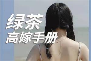 《绿茶高嫁手册》PDF